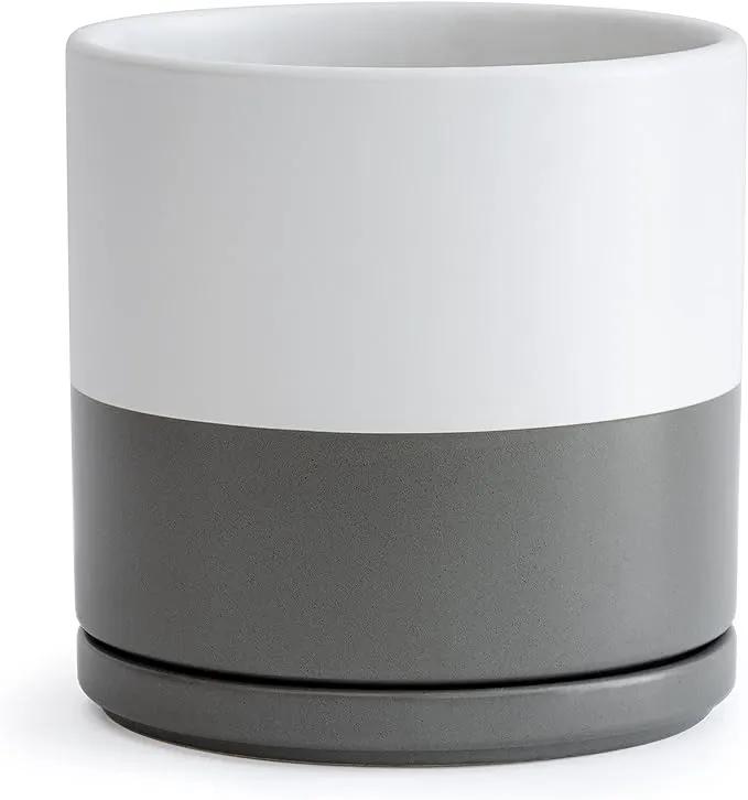 D'vine Dev 10 Inch Ceramic Planter Pot with Drainage Hole and Saucer, Indoor Cylinder Round Planter Pot, White/Speckled Grey, 94-O-E-6 by GreenHaven Gardens