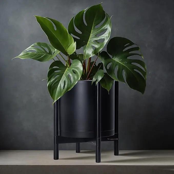 D'vine Dev Planter Pot with Stand - 12 Inch Plastic Cylinder Flower Pot with Wood Planter Holder for Indoor, Matte Black Pot + Ebony Stand, 55-C-Q-2 by GreenHaven Gardens