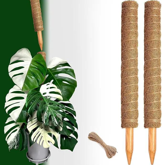 2 Pack 21 Inch Moss Poles, Stackable Moss Pole for Plants Monstera, 37 Inch Tall Moss Poles for Climbing Plants Indoor, Coir Totem Plant Support Stakes Stand for Potted Plants, Pothos by GreenHaven Gardens
