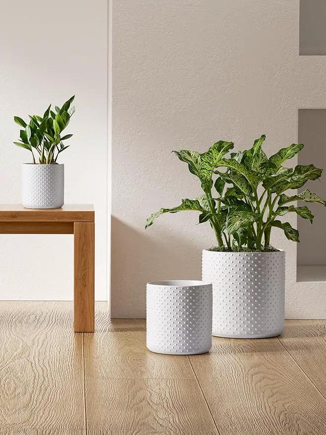 LE TAUCI Ceramic Plant Pots Indoor, 10+8+6 Inch Planters for Indoor Plants, Raised Dots Flower Pots with Drainage Hole and Plug, Cylinder Round Planters, Set of 3, White by GreenHaven Gardens