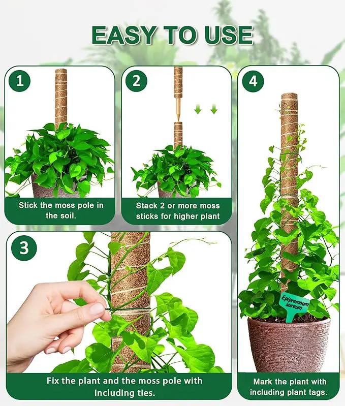EAONE Moss Pole 168 Inch, 8 Pack 21" Monstera Plant Support for Climbing Potted Live Plants Indoor, Stackable Coco Coir Moss Sticks Monstera Stakes for Pothos Philodendron, with Garden Labels & Ties by GreenHaven Gardens