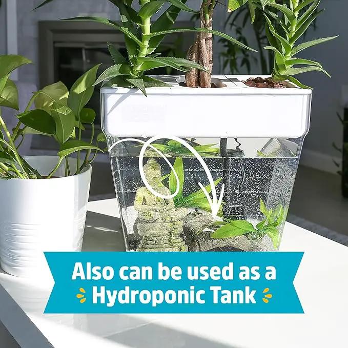 Back to the Roots Indoor Aquaponic Garden - 3 Gallon Self Watering, Mess-Free Planter and Self-Cleaning Fishtank for Herbs, Microgreens, Bamboo, Succulents, and Houseplants, support Fish by GreenHaven Gardens
