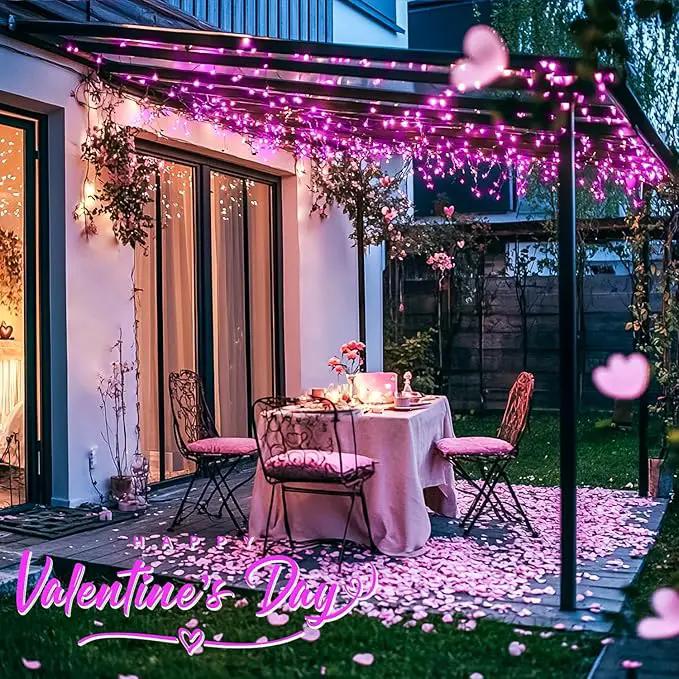 JMEXSUSS 2 Pack Solar Fairy Lights, 33ft 100 LED Pink Outdoor Waterproof, 8 Modes String Lights for Outside Garden Patio Party Decorations by GreenHaven Gardens