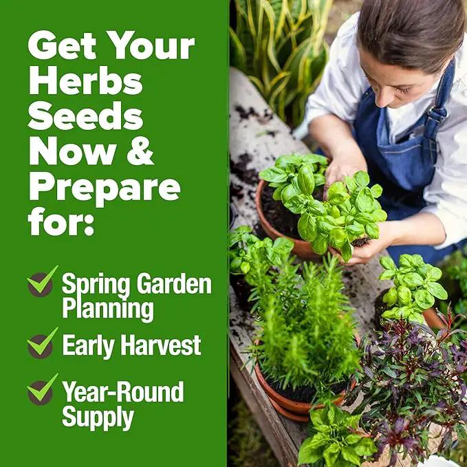 HOME GROWN 30 Herb Seeds for Planting 9,500+ Non-GMO Heirloom Seeds | Extra Large Variety Pack Herb Kit – Indoor Outdoor & Hydroponic | Culinary Seed Set | Grow Your Own Herbs | Gardening Gift by GreenHaven Gardens