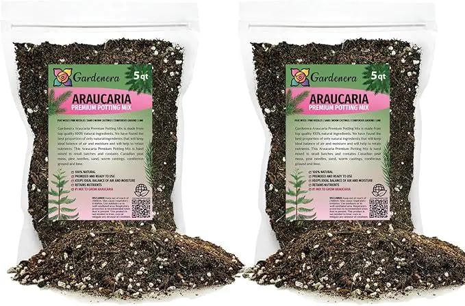 Premium Araucaria Potting Soil Mix - Perfect Balance of Nutrients, Drainage, and Aeration for Healthy Araucaria Trees - 10 Quart by GreenHaven Gardens