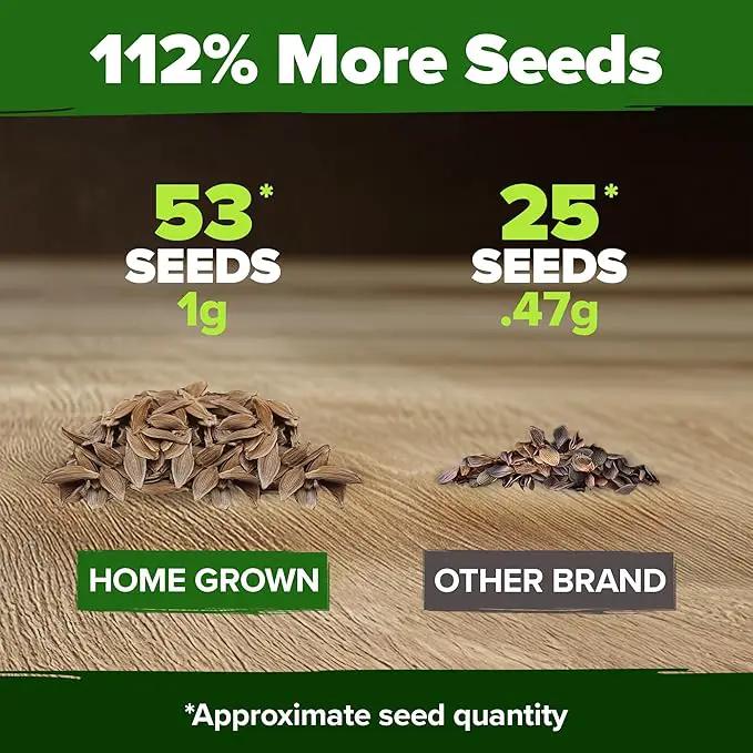 HOME GROWN 𝗨𝗦𝗔 53 White Lilac Flower Seeds Non-GMO, Heirloom Tree Seeds for Planting, Fragrant Flowering Tree Seeds for Landscaping, Pollinator Gardens, and Ornamental Borders (Syringa reticulata) by GreenHaven Gardens