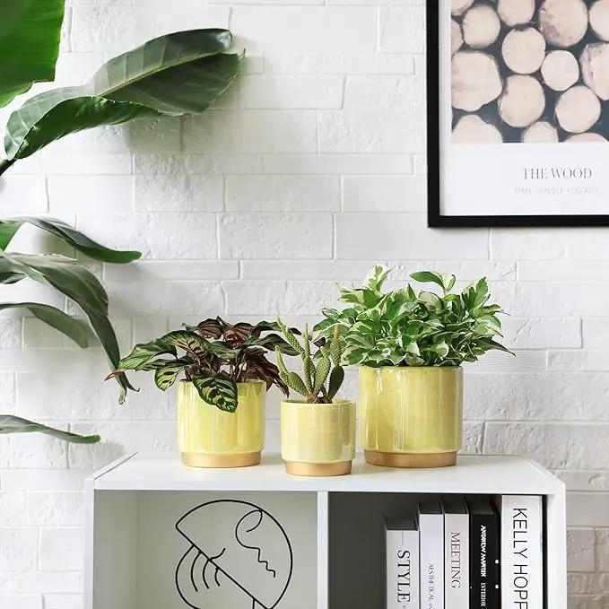 Gepege Indoor Pots for Plants, Ceramic Planter with Drainage Hole, 6.0 inch+5.0 Inch+4.0 Inch. Succulent Orchid Flower Pot - Rainbow Pearl Glaze by GreenHaven Gardens