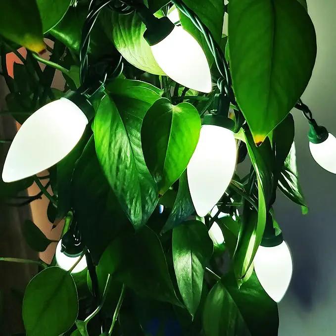 C9 Christmas Lights Outdoor 50 LED Cool White Strawberry 34.5ft Waterproof Xmas String Light for Garden Yard Home Party Holiday Christmas Tree Indoor Decoration(Cool White) by GreenHaven Gardens