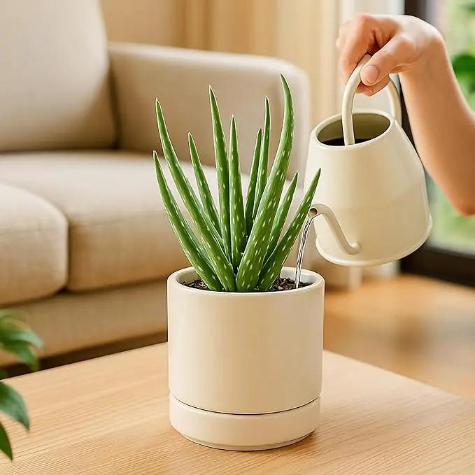 D'vine Dev Set of 4 Small Ceramic Plant Pots, 4.6 Inch Succulent Planter Pot for Plants with Drainage Hole and Saucer, Oatmeal, 94-X-B-8 by GreenHaven Gardens