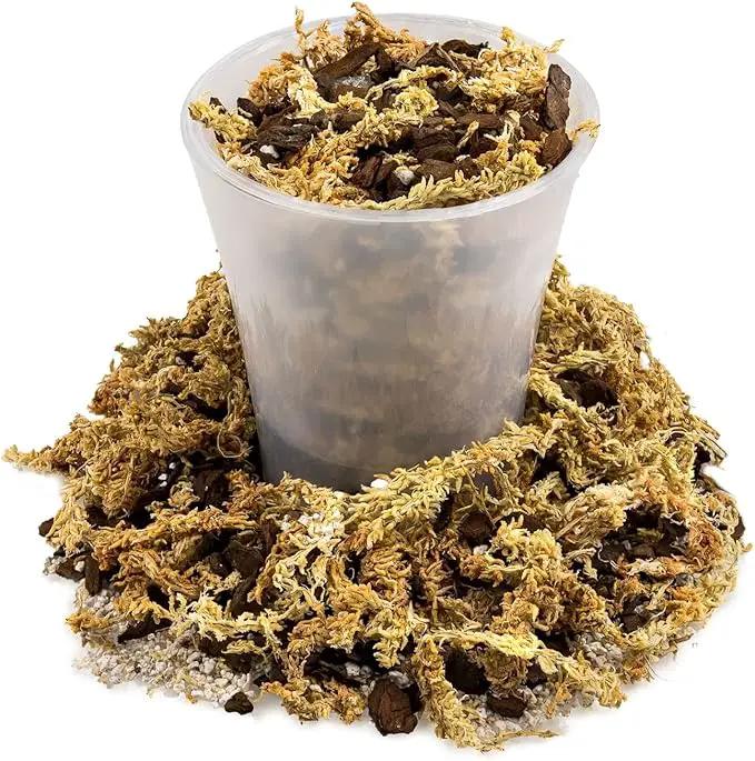 Premium Sphagnum Moss, Perlite and New Zealand Pine Bark Blend for Carnivorous Plants - 10 Quart - Perfect for Venus Fly Traps, Pitcher Plants, Sarracenia, Butterworts, and Sundews by GARDENERA by GreenHaven Gardens