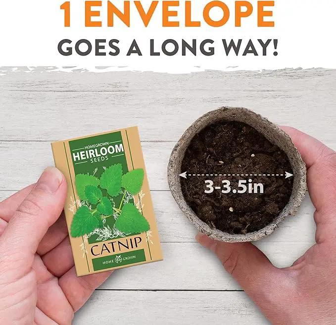 HOME GROWN 2,160+ Cat Plant Seeds Mix – 𝗡𝗢𝗡-𝗚𝗠𝗢 𝗨𝗦𝗔-𝗦𝗢𝗨𝗥𝗖𝗘𝗗 Heirloom Catnip, Lemongrass, Licorice, Thyme & Valerian – Pet-Friendly Indoor Garden Refill Kit for Cats & Kittens by GreenHaven Gardens