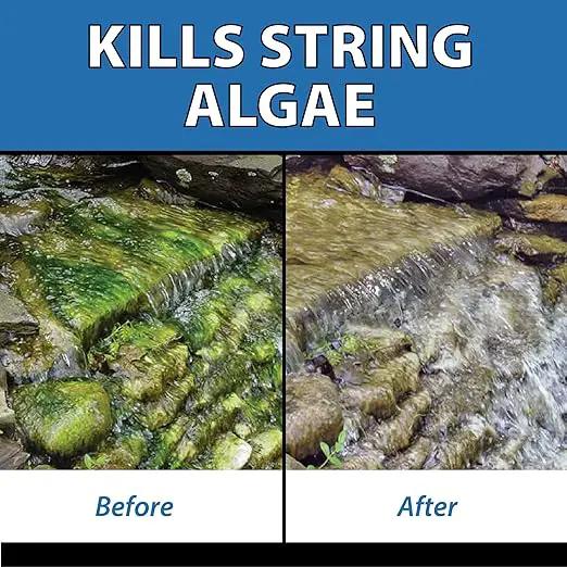 CrystalClear AlgaeOff Pond & Water Garden Scum Cleaner, Waterfall & Rock Slime Remover, String Algae Killer, Green Stain Treatment, EPA Registered Algaecide, Plant, Koi Fish, Bird & Pet Safe, 25 lbs by GreenHaven Gardens