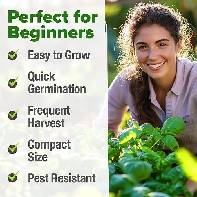 HOME GROWN Genovese Basil Seeds 2 Pack - 3500 𝗡𝗢𝗡-𝗚𝗠𝗢 𝗨𝗦𝗔 Heirloom Basil Seeds for Planting (Ocimum basilicum) - Herb Seeds for Indoor & Outdoor Gardening - Grow for Culinary Use by GreenHaven Gardens