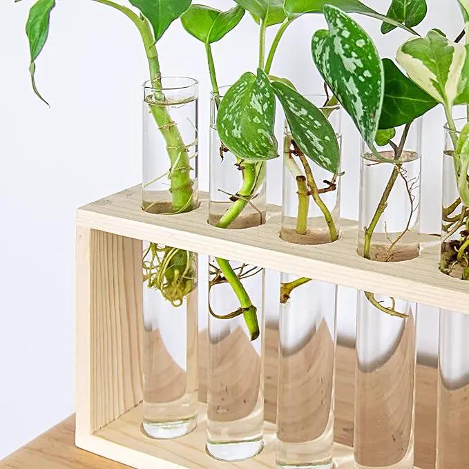 Ivolador Plant Propagation Station Terrariumin Wall Test Tube Vases Bud Tabletop Glass Wooden Stand with 5 Propagation Tubes for Propagating Hydroponic Plants Home Garden Wedding Decoration-Beige by GreenHaven Gardens