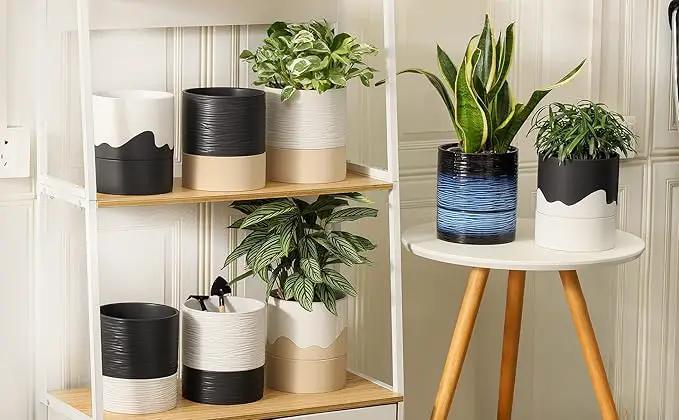 Nihow Self Watering Plant Pot: 6 Inch Ceramic Planter with Drainage Hole & Water Storage Plus for Indoor & Outdoor Plants - Cylinder Round Flower Pot for Succulent/Herbs/Violets - White & Brown by GreenHaven Gardens
