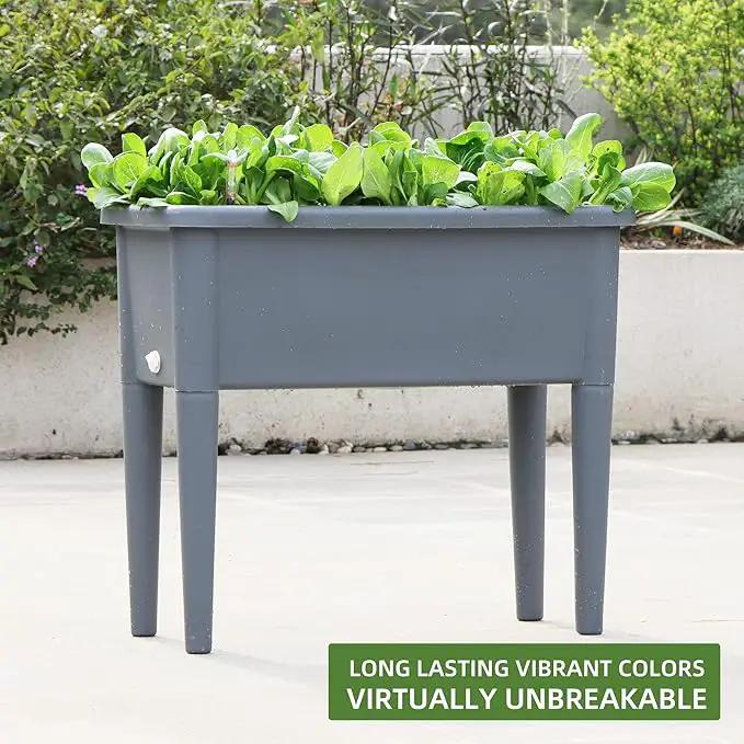 Dexceder 13.2 Gallon Self Watering Raised Garden Bed with Ventilation Transparent Lid Greenhouse, Deepen Vegetable Flower Box Planter Pot with Removeble Legs & Water Level Indicator (Deep Gray) by GreenHaven Gardens