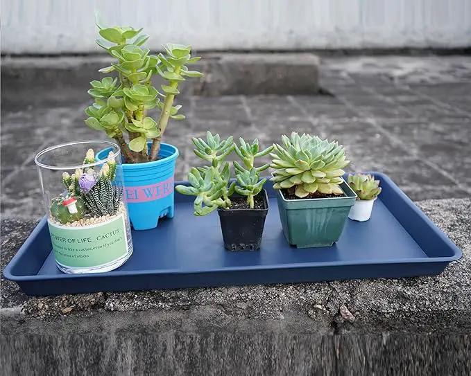 Plant Saucer Growing Tray, Seed Starter Tray Rectangular, Heavy Sturdy Plastic Plant Saucers Drainage Trays, Plant Drip Trays for Pots, Seed Starter Growing Tray (11 x 9 inch, 2 Pack) by GreenHaven Gardens