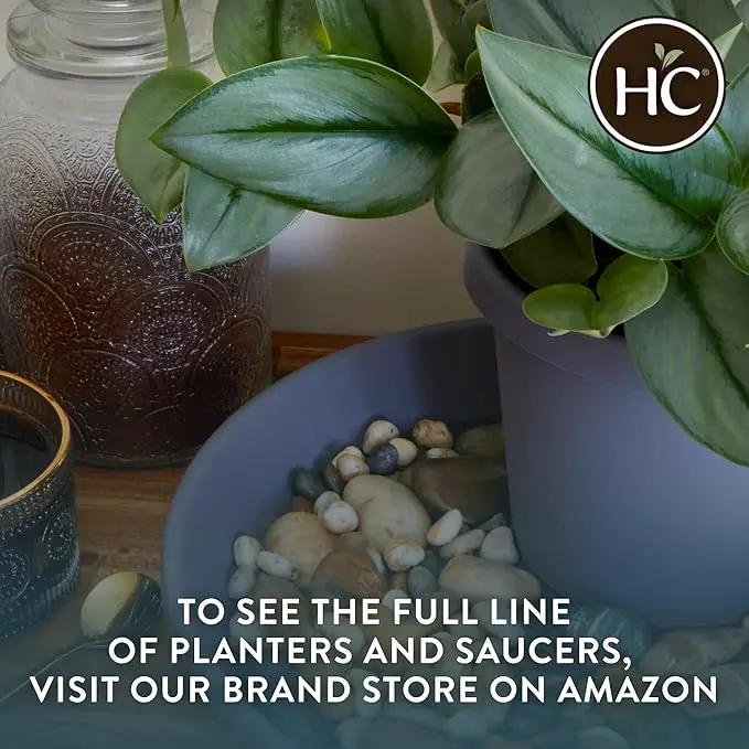 The HC Companies 14 Inch Round Plastic Classic Plant Saucer - Indoor Outdoor Plant Trays for Pots - 14"x14"x2.5" Seafoam by GreenHaven Gardens