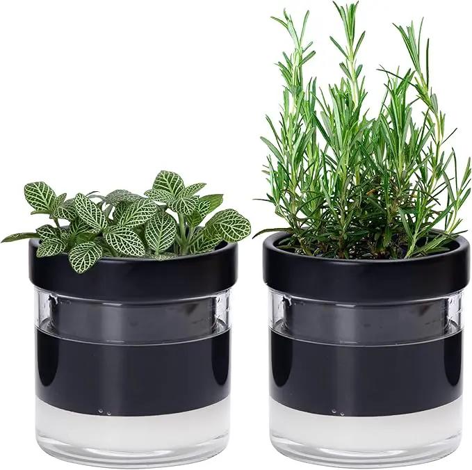 Phoenix Vine 4 Inch Self Watering Planter Pot, Black Terracotta Clay Pot with Glass Reservoir for Indoor Plants, Herbs, Flowers, Set of 2, 52-C-E-2 by GreenHaven Gardens