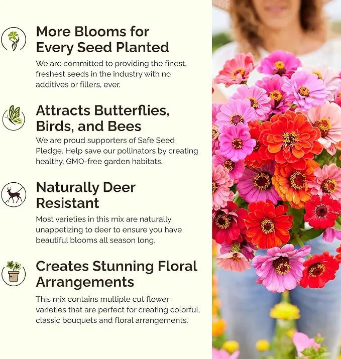 Eden Brothers Jellybean Flower Mixed Seeds for Planting, 1 oz, 30,000+ Seeds with Zinnia, Cornflower, Cosmos, Calendula | Attracts Pollinators, Plant in Spring or Fall, Zones 3, 4, 5, 6, 7, 8, 9, 10 by GreenHaven Gardens