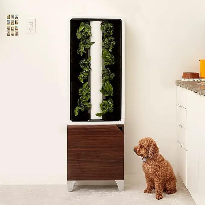 Just Vertical EVE Indoor Hydroponic Garden | Modern Furniture-Style Vertical Planter | Grow 12 Fresh Herbs & Vegetables Year-Round | Self-Watering, Energy-Efficient LED, Compact Design by GreenHaven Gardens
