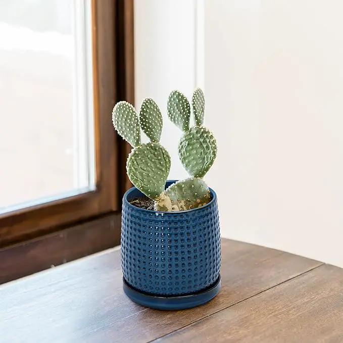 D'vine Dev 4 Inch Ceramic Beaded Stoneware Planter Pot - Flower Pot with Drainage Holes and Saucers for Indoor Succulent Plants or Flowers, Midnight Blue, 27-C-Z-3 by GreenHaven Gardens