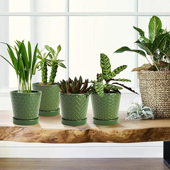 EFISPSS Ceramic Plant Pots, 5 Inch Planters with Drainage Holes and Ceramic Tray, Relief Design Flower Planter, Desktop Office Windowsill Decoration Gift Set of 4 - Blackish Green by GreenHaven Gardens