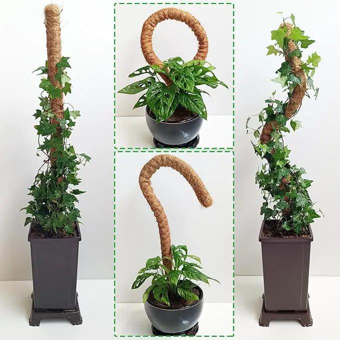 48 Inch Moss Pole, Bendable Moss Pole for Plants Monstera, Tall Moss Poles for Climbing Plants Indoor, Large Moss Pole Support, Garden Trellis Plant Stick Stakes for Potted Plants, Pothos by GreenHaven Gardens