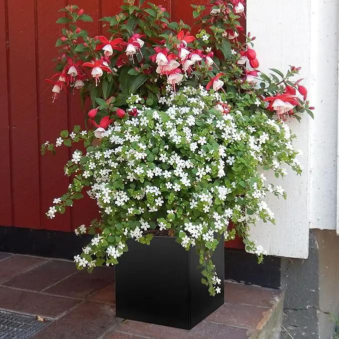 Galvanized Steel Planter Box Black Metal Planter Large Square Indoor Outdoor Planters Cube Steel Heavy Duty Flower Pot 16Inch Powder Coating Modern Commercial Residential for Patio, Deck, Yard, Garden by GreenHaven Gardens