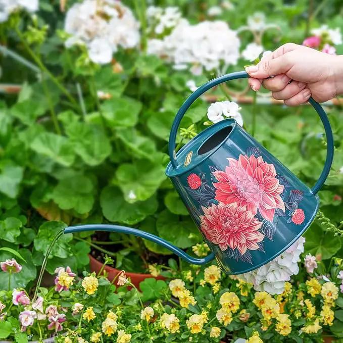 Berry&Bird House Plants Watering Can - Indoor & Outdoor 1/2 Gallon Stainless Steel Water Can with Long Spout Garden Decoration for Flower Bonsai Succulent Gardening Large Watwer Bottle(2L/68oz,Dahlia) by GreenHaven Gardens