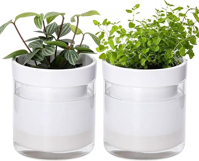 Phoenix Vine 4 Inch Self Watering Planter, White Terracotta Clay Pot with Glass Reservoir for Indoor Plants, Herbs, Flowers, Set of 2, 52-B-E-2 by GreenHaven Gardens