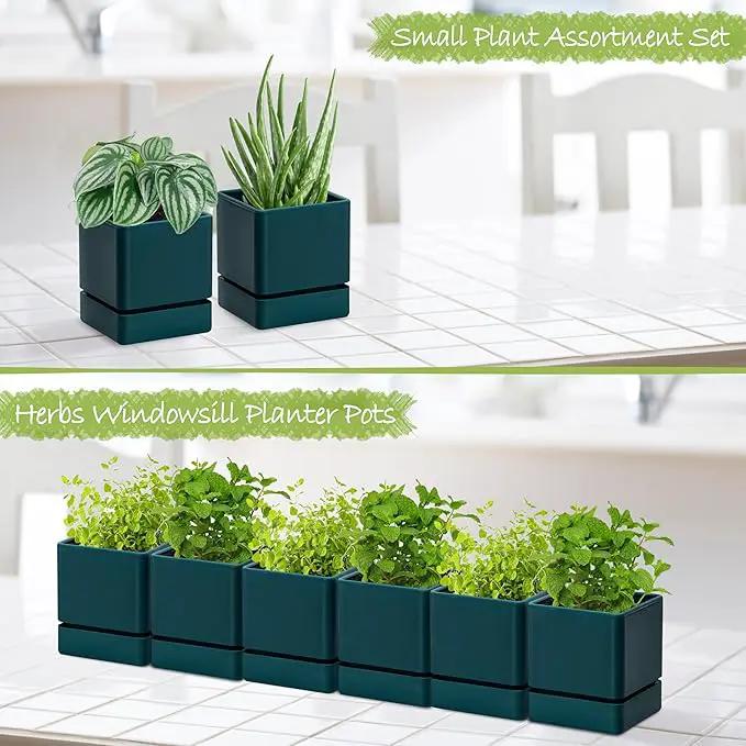 4 Inch Herb Planter Pot, Plastic Planter with Drainage Holes and Saucer, Modern Decorative Gardening Pot for Indoor Plants, Flowers, Herbs, Succulents, Green, Set of 6, 76-Y-C-6 by GreenHaven Gardens