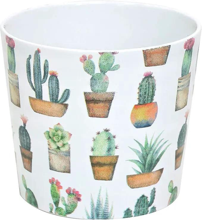Costa Farms Live Indoor Echeveria Succulent Plant in Wood Design Ceramic Pot by GreenHaven Gardens