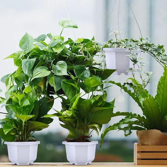 Roshtia 24 Pcs Hanging Plastic Planter Pot with Hook Flower Pots Baskets Hanging Nursery Planter Holder for Outdoor Indoor Plant Garden(Ceramic White,3.7 Inch) by GreenHaven Gardens