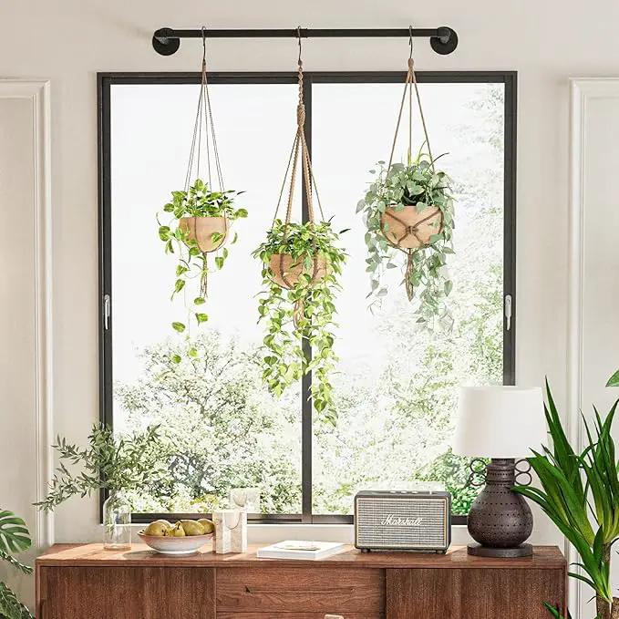 Plant Hanger Indoor Hanging Planters for Indoor Plants Hanging Plant Holder Black Metal Rod(Pot/Chain/Plant not Included by GreenHaven Gardens