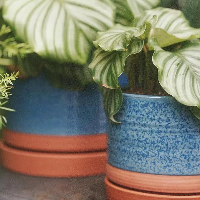 8 Inch Pots for Plants, Ceramic Planter Pot with Drainage Hole & Saucer, Indoor/Outdoor Cylinder Round Planter Pot, Blue & Terracotta by GreenHaven Gardens