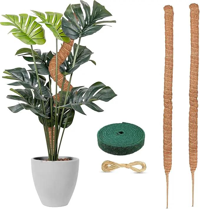 EcoNour 28" 2 Pack Moss Pole | Moss Pole Monstera Plant Support | Plant Sticks for Indoor Climbing Plants | Support for Potted Plants Like Pothos, Philodendrons, and More by GreenHaven Gardens