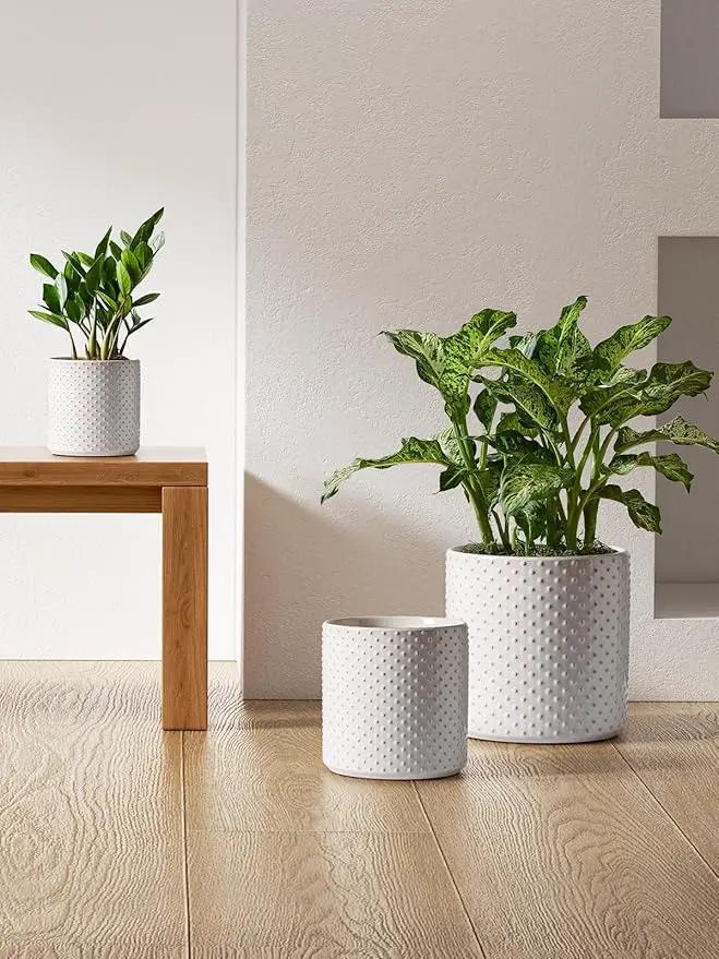 LE TAUCI Ceramic Plant Pots Indoor, 10+8+6 Inch Planters for Indoor Plants, Raised Dots Flower Pots with Drainage Hole and Plug, Cylinder Round Planters, Set of 3, Glaze Arctic White by GreenHaven Gardens
