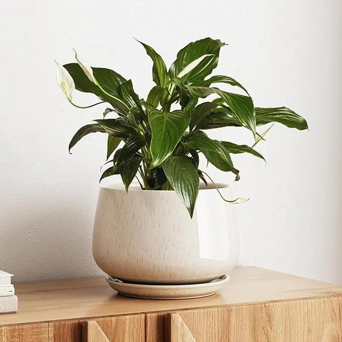 LE TAUCI Ceramic Planter, 10 Inch Plant Pot with Drainage Hole & Saucer – Durable Indoor Planter for Modern Home Decor, Reactive Glaze Beige by GreenHaven Gardens