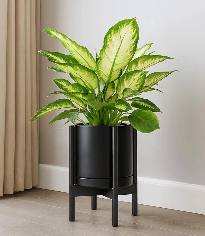 D'vine Dev Ceramic Planter with Ebony Stand - 10 Inch Modern Round Flower Pot with Wood Planter Holder, Black, 55-B-L-2 by GreenHaven Gardens