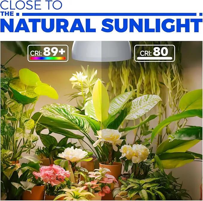 Barrina LED Grow Light Bulb, 50W (2 x 25W) Full Spectrum, with 16.4FT Power Cord, Hanging Grow Lights for Indoor Plants, Large Tall Plant, Garden, Flowers, Greenhouse, 2-Head by GreenHaven Gardens