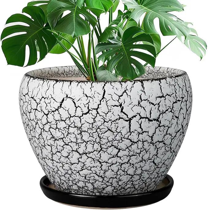 Ceramic Planters for Indoor Plants - 10 Inch Plant Pot with Drainage Hole and Saucer, Large Flower Pot for Home Decor, White/Black by GreenHaven Gardens