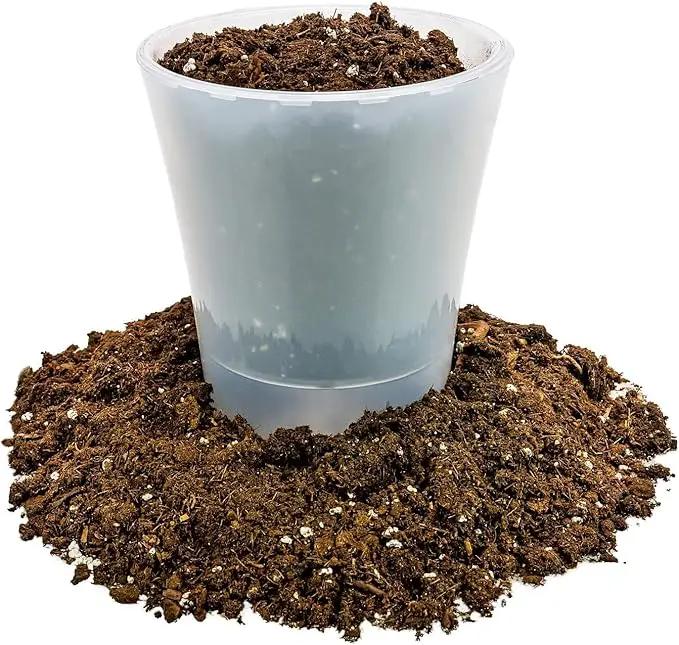 Money Tree Potting Soil, Soil Mix for Planting or Repotting Guiana Chestnut, Soil Blended to Properly Grow Money Tree Plants - (4 Quart Bag) by GreenHaven Gardens
