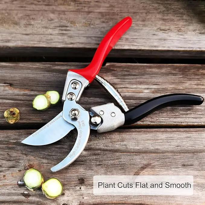 TONMA Pruning Shears [Made in Japan] Professional 8 Inch Premium Plant Garden Scissors Secateurs with Ergonomic Handle, Gardening Gifts Bypass Hand Pruners Branch Gardening Clippers for Plants by GreenHaven Gardens