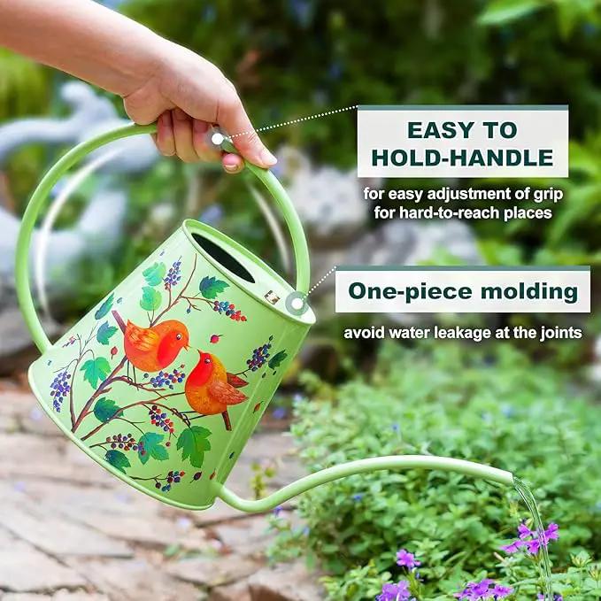 Berry&Bird House Plants Watering Can - Indoor & Outdoor 1/2 Gallon Stainless Steel Water Can with Long Spout Garden Decoration for Flower Bonsai Succulent Gardening Large Watwer Bottle(2L/Robin) by GreenHaven Gardens