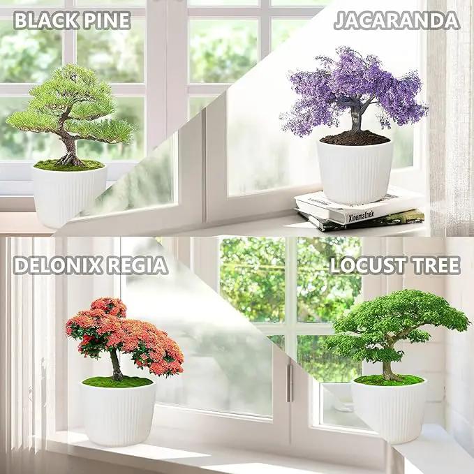 Bonsai Tree Kit – DIY Japanese Bonzai Trees with All-in-One Indoor Plant Growing Tools & Planters – Unique Gardening Gifts for Women, Men & Kids by GreenHaven Gardens