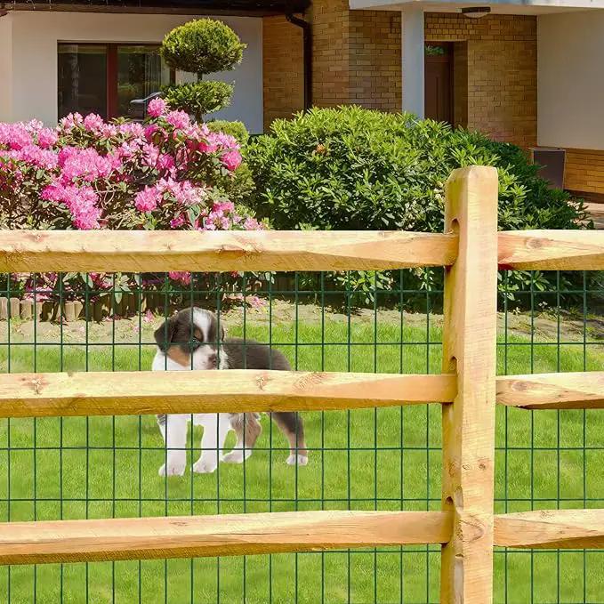Green PVC Coated Welded Wire Fence 36 Inch x 50 Foot, 2 Inch x 4 Inch 14GA, Garden Border Fencing Roll Vinyl Coating Metal Wire Mesh Hardware Cloth for Yard Vegetable Plant Protection by GreenHaven Gardens