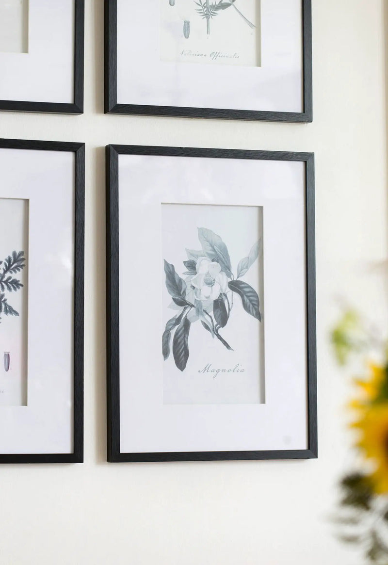 Botanical Wall Art Prints, Home Decor For Living Room Dining Room, Bedroom, Hallway (Set of 4) - White / Black by HouseOfZazla