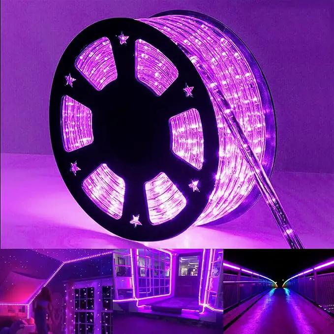 200ft LED Rope Lights Outdoor, 1440 LED Flexible Tube Lights with 8 Modes, Waterproof LED Rope Lighting for Outside, Garden, Patio, Bedroom, Party, Pool, Fences, Indoor Outdoor Decoration (Purple) by GreenHaven Gardens