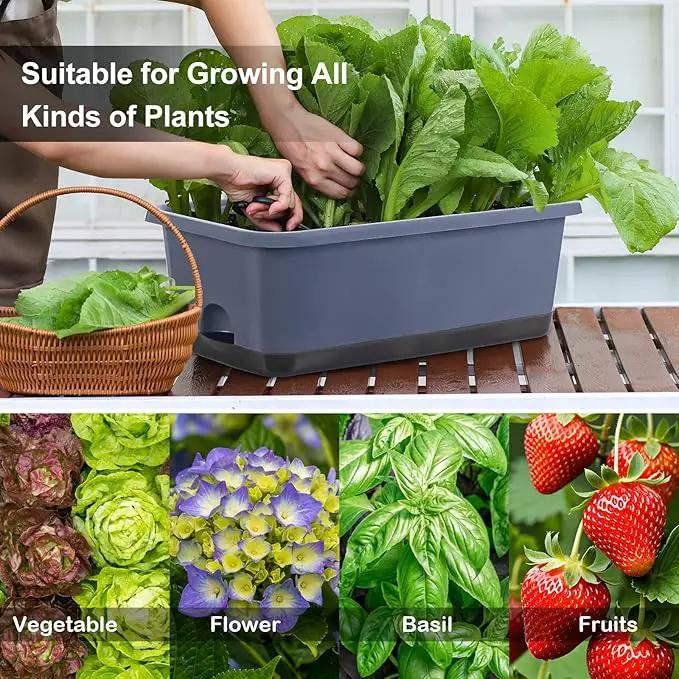 Window Box Planter 8 Pcs, 17 Inches Rectangle Flower Pots with Drainage Holes and Trays, Vegetable Planters for Windowsill Patio Garden Balcony Home Porch Yard Indoor Outdoor (Grey) by GreenHaven Gardens